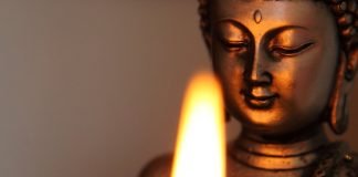 Cuore (mente) da principiante Cuore Mente Principiante