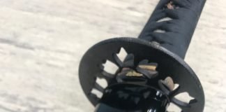 Stage Villingen 2018: racconti di amici e di iaido