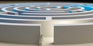 Come affrontare l’esame da 6° e 7° Affrontare l'esame da 6° dan