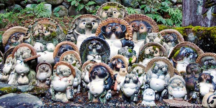 tanuki