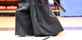 Ashi Sabaki, il movimento dei piedi – 3 ashi sabaki