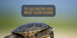 Elogio della lentezza elogio della lentezza