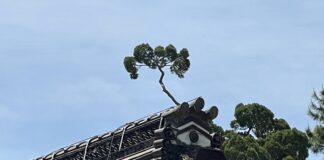 Zen e le Arti Marziali