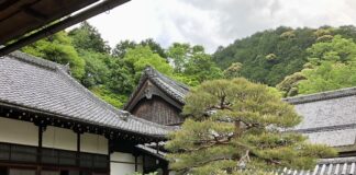 Zen e le Arti Marziali