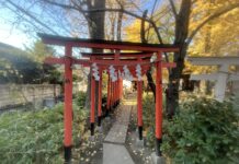 Kawasaki Novembre 25