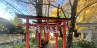 Kawasaki Novembre 25