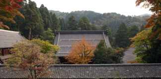 Eihei Dōgen